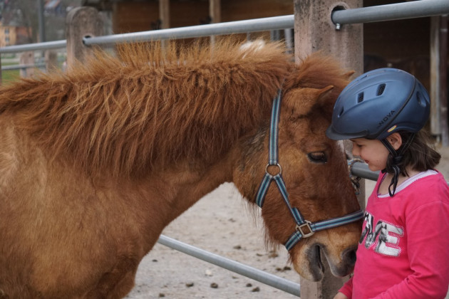Bambinis-Reiten (Kinder von 3–6 Jahren)