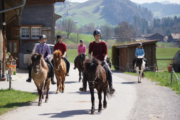 Reiter mit mittleren Kenntnissen