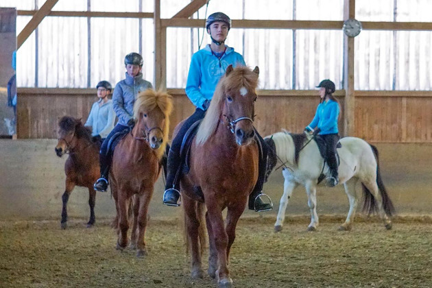 Anfänger bis mittleres Niveau