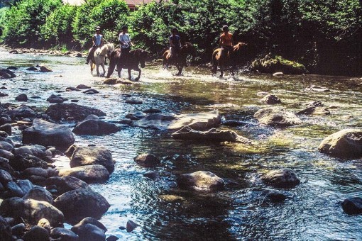 Reiten im Fluss