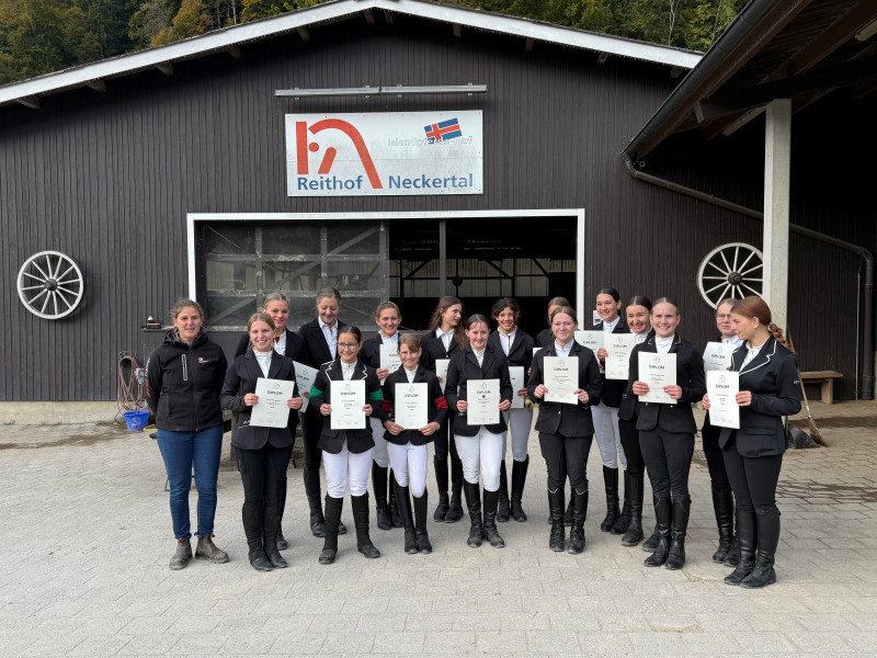 Swiss Equestrian Grundbildung und Brevet Gangpferde