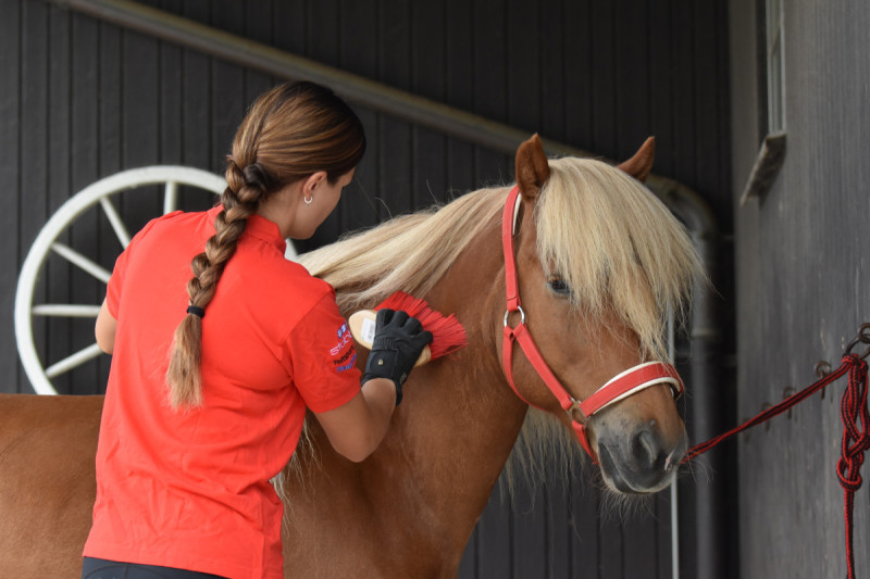 Frühlings-Neuheiten jetzt in unserem Reitshop