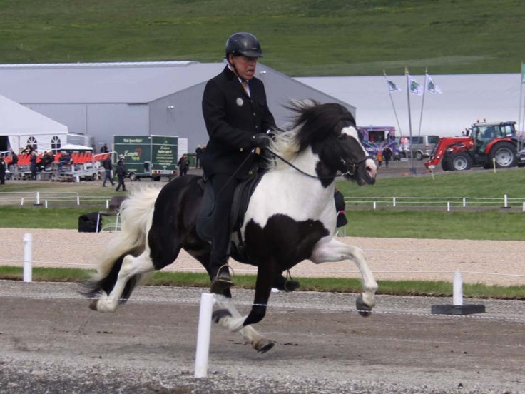 Stefnir Turnier Island Stefnir Turnier Island