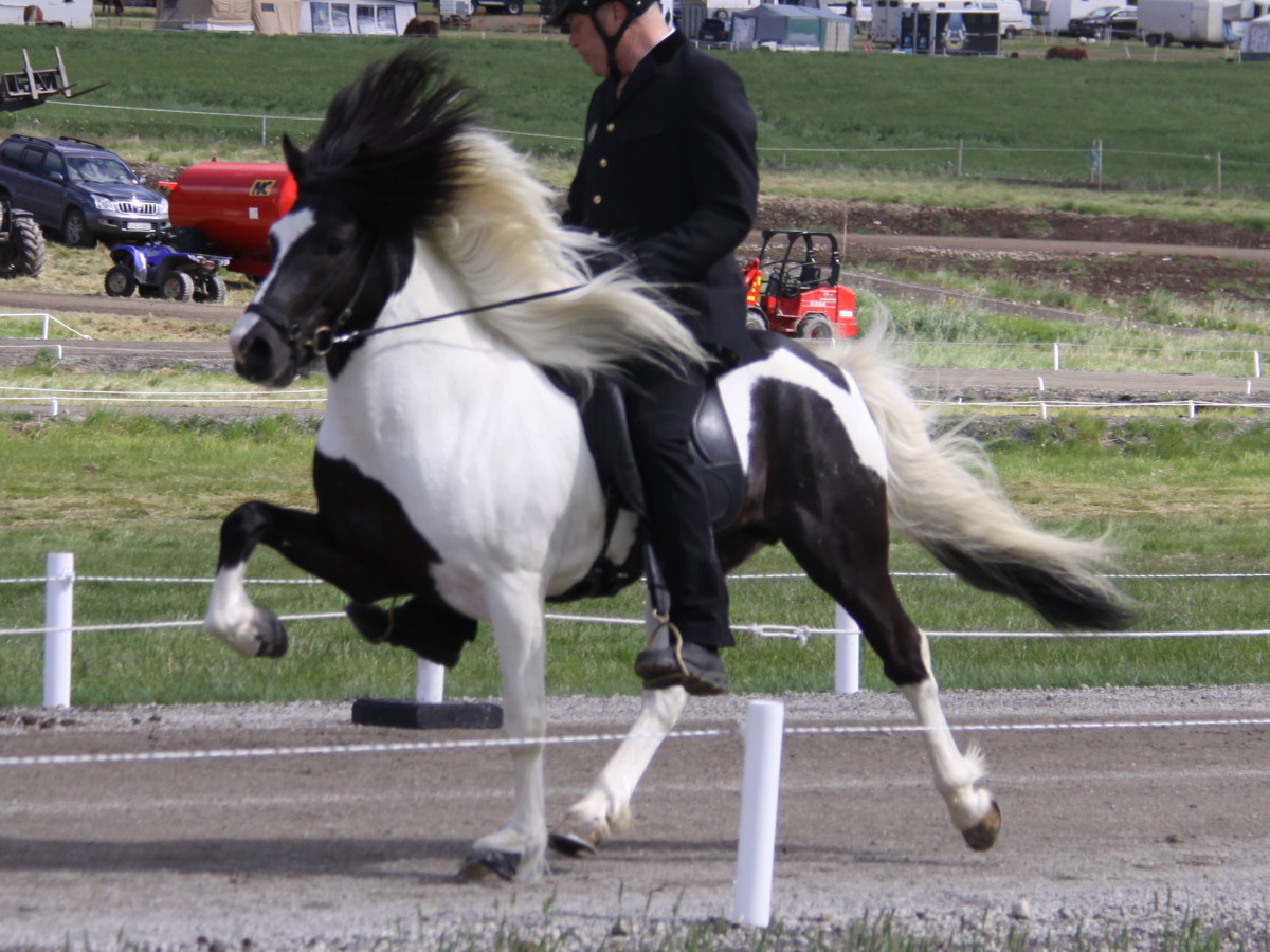 Stefnir Turnier Island Stefnir Turnier Island